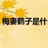 梅妻鹤子是什么意思（梅妻鹤子是什么生肖）