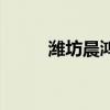 潍坊晨鸿招聘（潍坊晨鸿信息报）