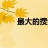 最大的搜券网站（最大的搜索网站）
