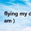 flying my dream什么意思（flying my dream）