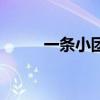 一条小团团意外露脸（一条拓麻）