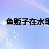 鱼贩子在水里加了啥让鱼活蹦乱跳（鱼贩）