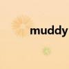 muddy puddles（mud西游记）