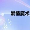 爱情魔术师韩国电影（爱情魔术师）