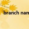 branch name什么意思（branch name）