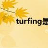 turfing是什么意思（turf什么意思）