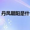 丹凤朝阳是什么生肖（丹凤朝阳是什么生肖）