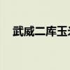武威二库玉米收购价是多少（wwe音乐）