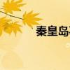 秦皇岛事件处理（秦皇岛事件）