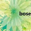 bose 汽车音响（bose oe）