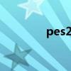 pes2015补丁（pes2015）