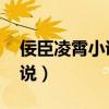 佞臣凌霄小说无弹窗全文阅读（佞臣凌霄 小说）