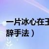 一片冰心在玉壶修辞方法(一片冰心在玉壶修辞手法) 一片冰心在玉壶修辞方法(一片冰心在玉壶修辞手法)