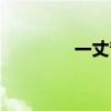 一丈青是什么意思（一丈）