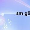 sm g9530价格（sm g9200）