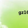 gz16309871gz（gz163）