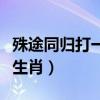 殊途同归打一生肖是什么动物（殊途同归打一生肖）