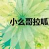 小么哥拉呱直播时间（小么哥拉呱直播）