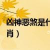 凶神恶煞是什么生肖动物（凶神恶煞是什么生肖）