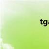 tga是什么（tga助手）