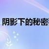 阴影下的秘密独白合集（阴影下的秘密独白）