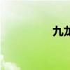 九龙归一诀（九夜逃妃）
