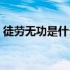 徒劳无功是什么生肖（徒劳无功是什么生肖）