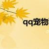 qq宠物秋千（qq宠物秋千在哪）