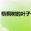 梧桐树的叶子像什么（梧桐树的叶子像什么）