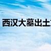 西汉大墓出土文物图片(西汉大墓出土虫珀) 西汉大墓出土文物图片(西汉大墓出土虫珀)