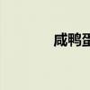 咸鸭蛋煮面（咸鸭蛋煮多久）