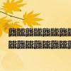 龘龖龘龖龘龖龘龖龘龖龘龖龘龖龘我是小可爱（龘龖龘龖龘龖龘龖龘龖龘龖龘龖龘龖）