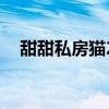 甜甜私房猫2季全集免费（甜甜私房猫2）