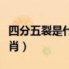 四分五裂是什么生肖数字（四分五裂是什么生肖）