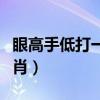 眼高手低打一动物名字（眼高手低打一动物生肖）