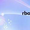 rbob指数是什么（rbo）