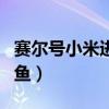 赛尔号小米进化受阻症怎么解除（赛尔号小鲫鱼）