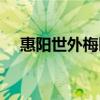惠阳世外梅园门票多少（惠阳世外梅园）