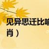 见异思迁比喻什么生肖（见异思迁比喻什么生肖）