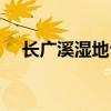长广溪湿地公园要门票吗（长广王殿下）