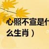 心照不宣是什么意思打一动物（心照不宣是什么生肖）