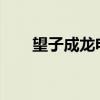 望子成龙电影1986（望子成龙电影）