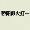 骄阳似火打一生肖动物（骄阳似火打一生肖）