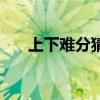 上下难分猜一字是什么字（上下难分）