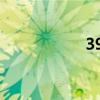 39 周排畸(39 net) 39 周排畸(39 net)