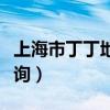 上海市丁丁地图公交查询（丁丁网上海公交查询）