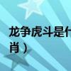 龙争虎斗是什么短语类型(龙争虎斗是什么生肖) 龙争虎斗是什么短语类型(龙争虎斗是什么生肖)