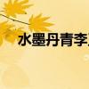水墨丹青李玉刚原唱（水墨丹青的意思）