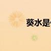 葵水是什么（葵水是什么意思）