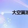 大空翼游戏steam（大空翼游戏）